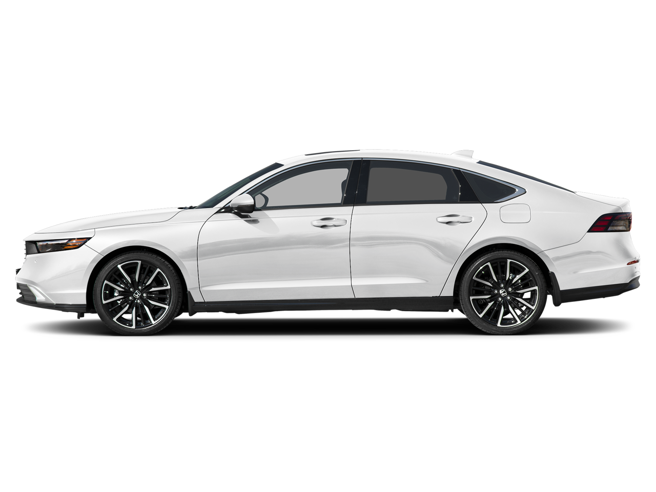 2026 Honda Accord — rear three-quarter view