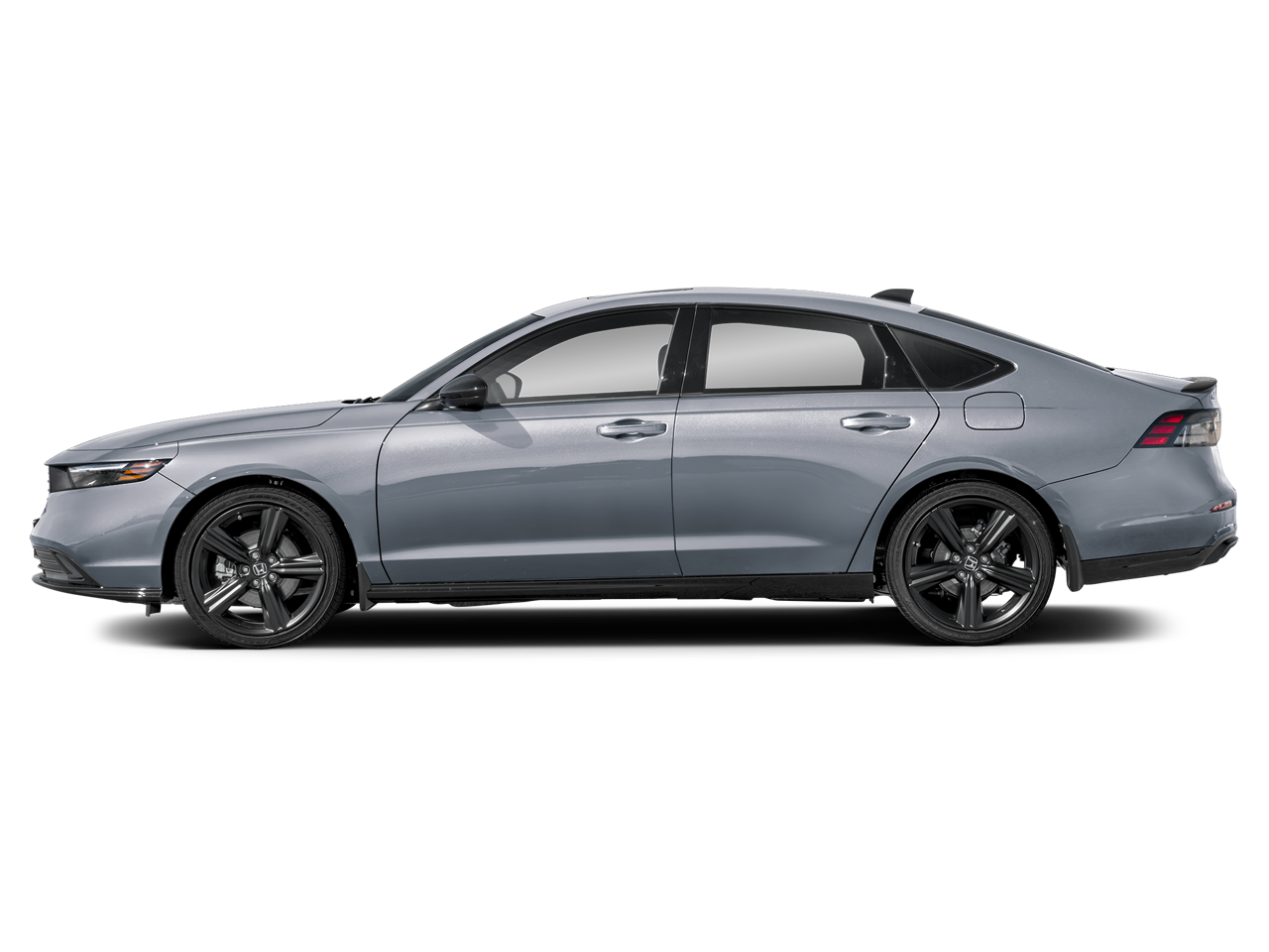 2026 Honda Accord — rear three-quarter view